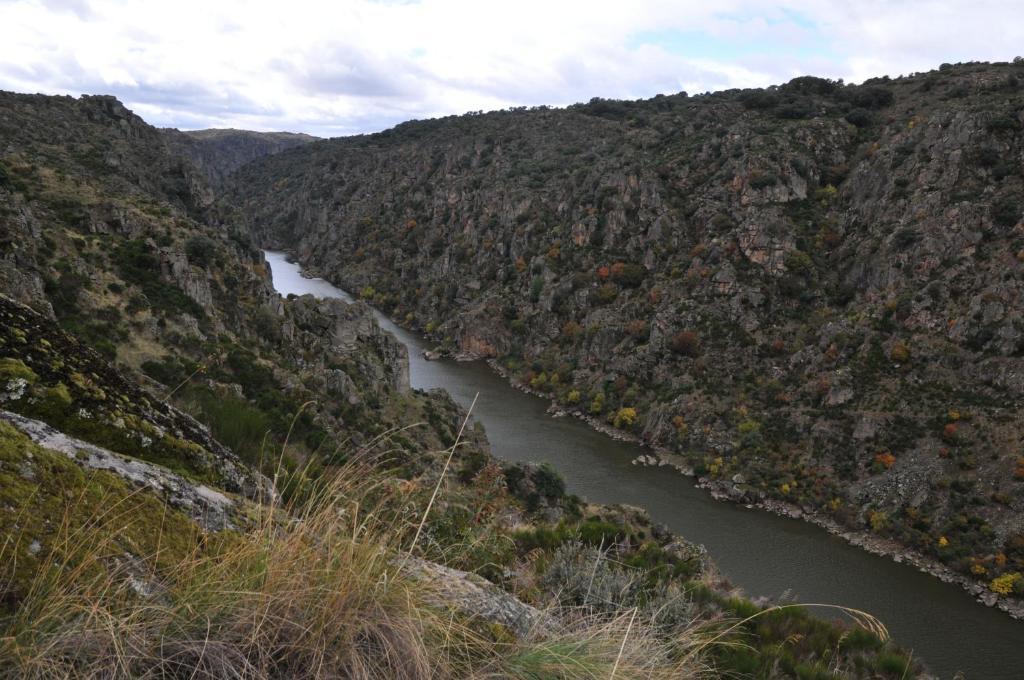 Posada Real La Mula De Los Arribes Villardiegua de la Ribera Εξωτερικό φωτογραφία