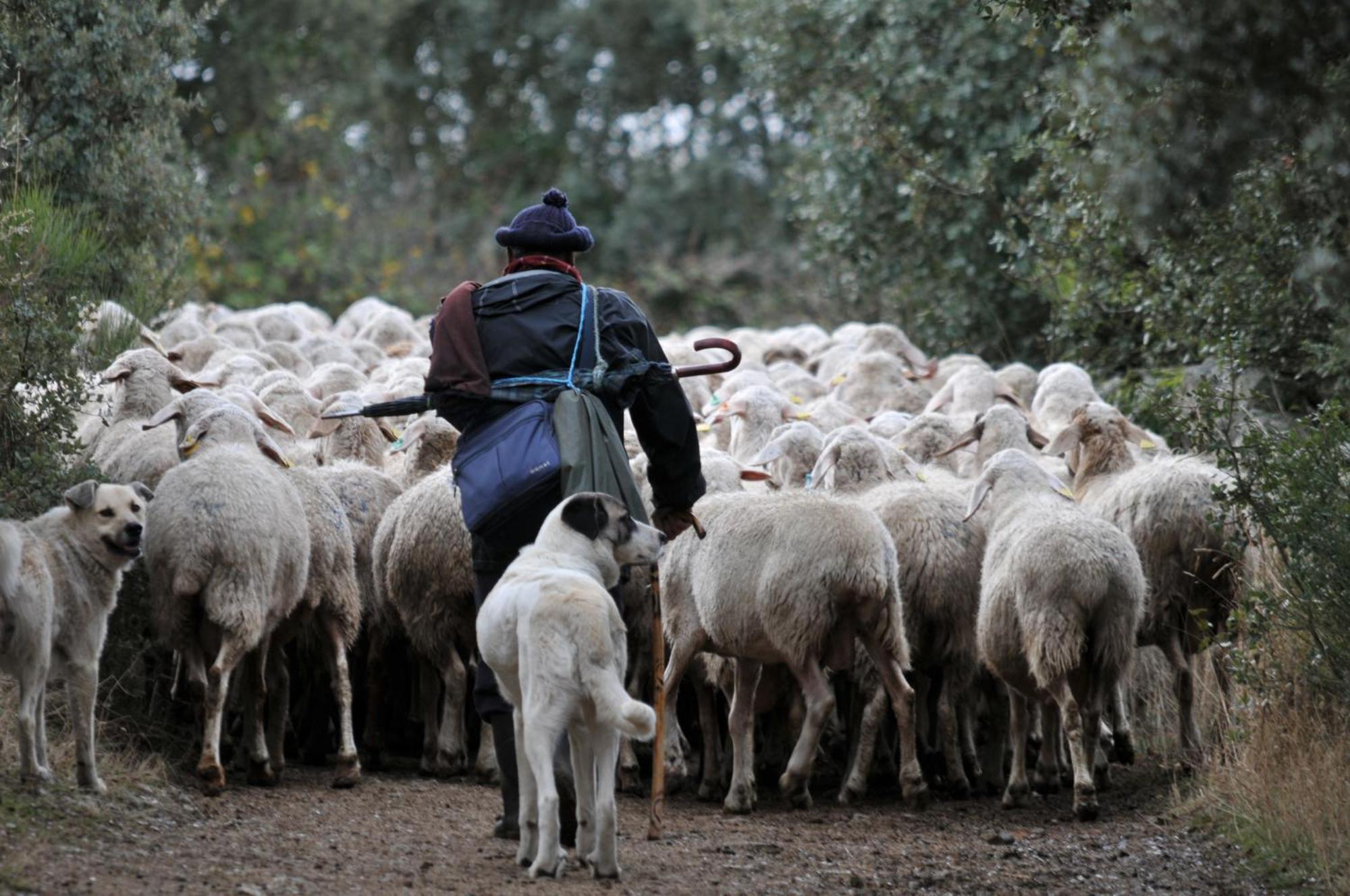 Posada Real La Mula De Los Arribes Villardiegua de la Ribera Εξωτερικό φωτογραφία