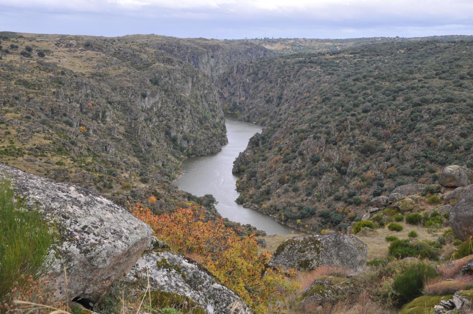 Posada Real La Mula De Los Arribes Villardiegua de la Ribera Εξωτερικό φωτογραφία