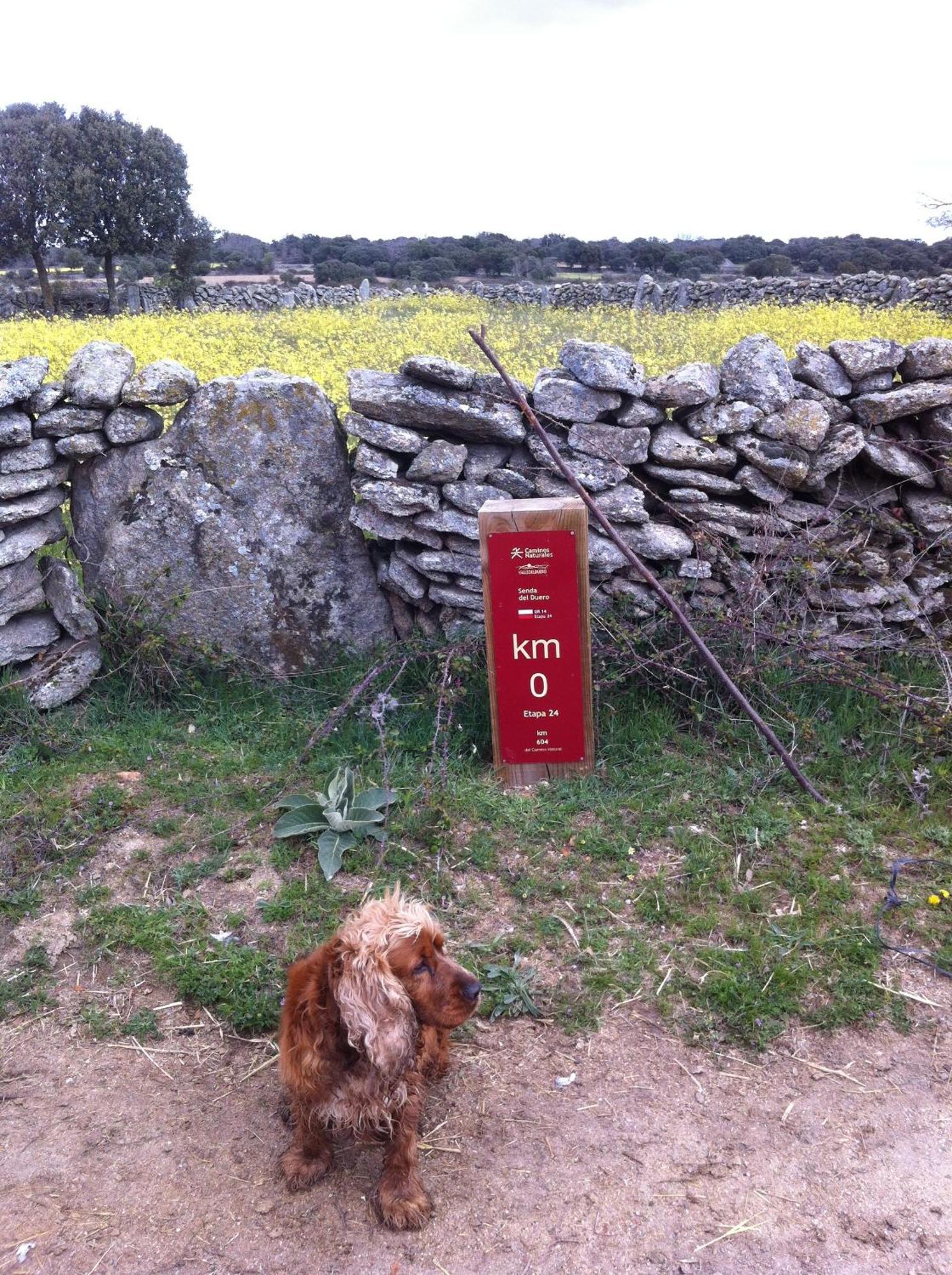 Posada Real La Mula De Los Arribes Villardiegua de la Ribera Εξωτερικό φωτογραφία